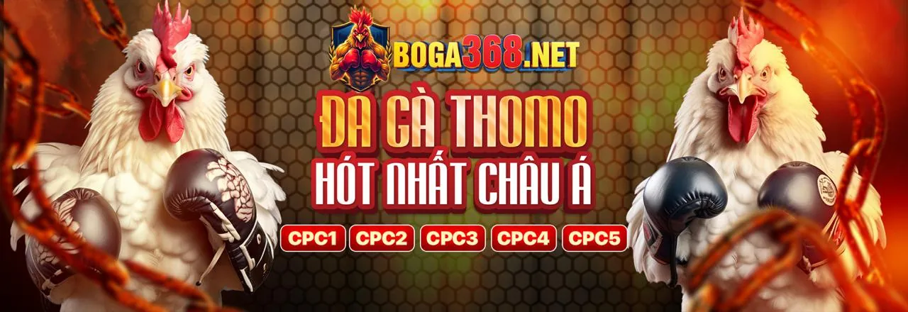 Hình ảnh đội ngũ betcom888 nhà cái làm việc cùng nhau
